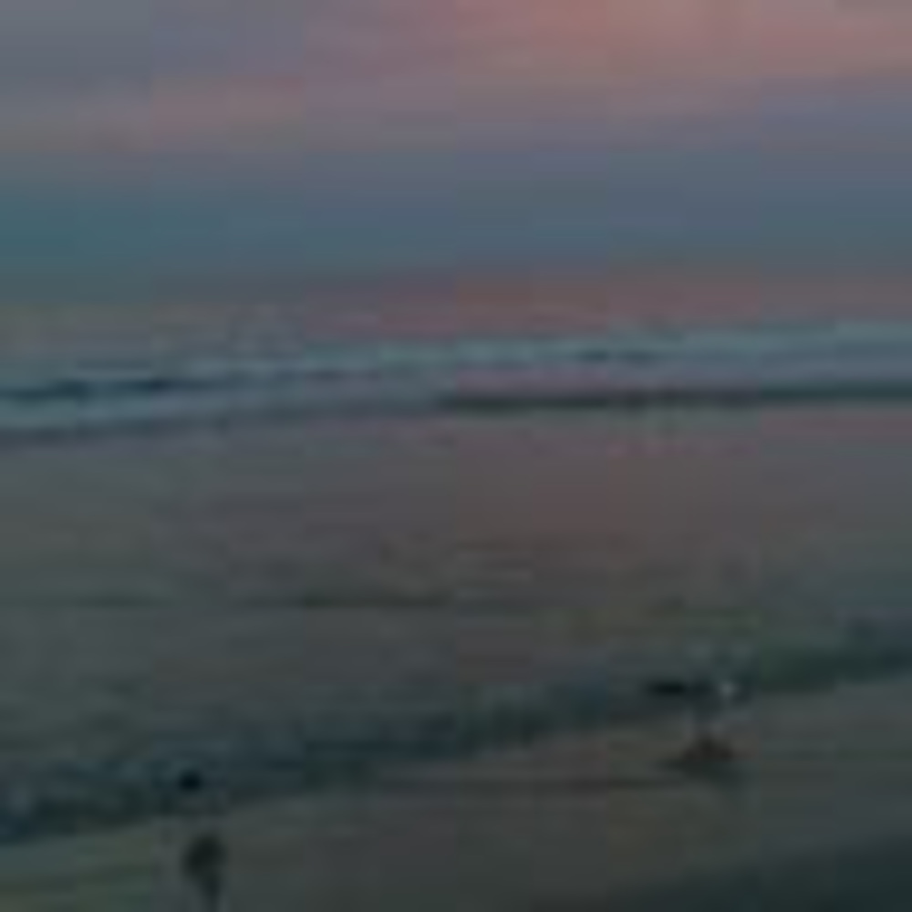 Meet your Posher, Dena